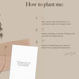 Merry Christmas (Plantable Xmas Card)