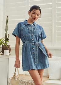 Elodie Denim Dress