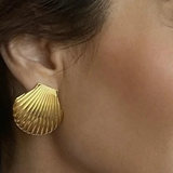 Shell Stud Earrings