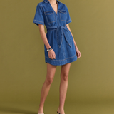 Brooks Denim Dress