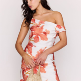 Isla Asymmetric Mini Dress