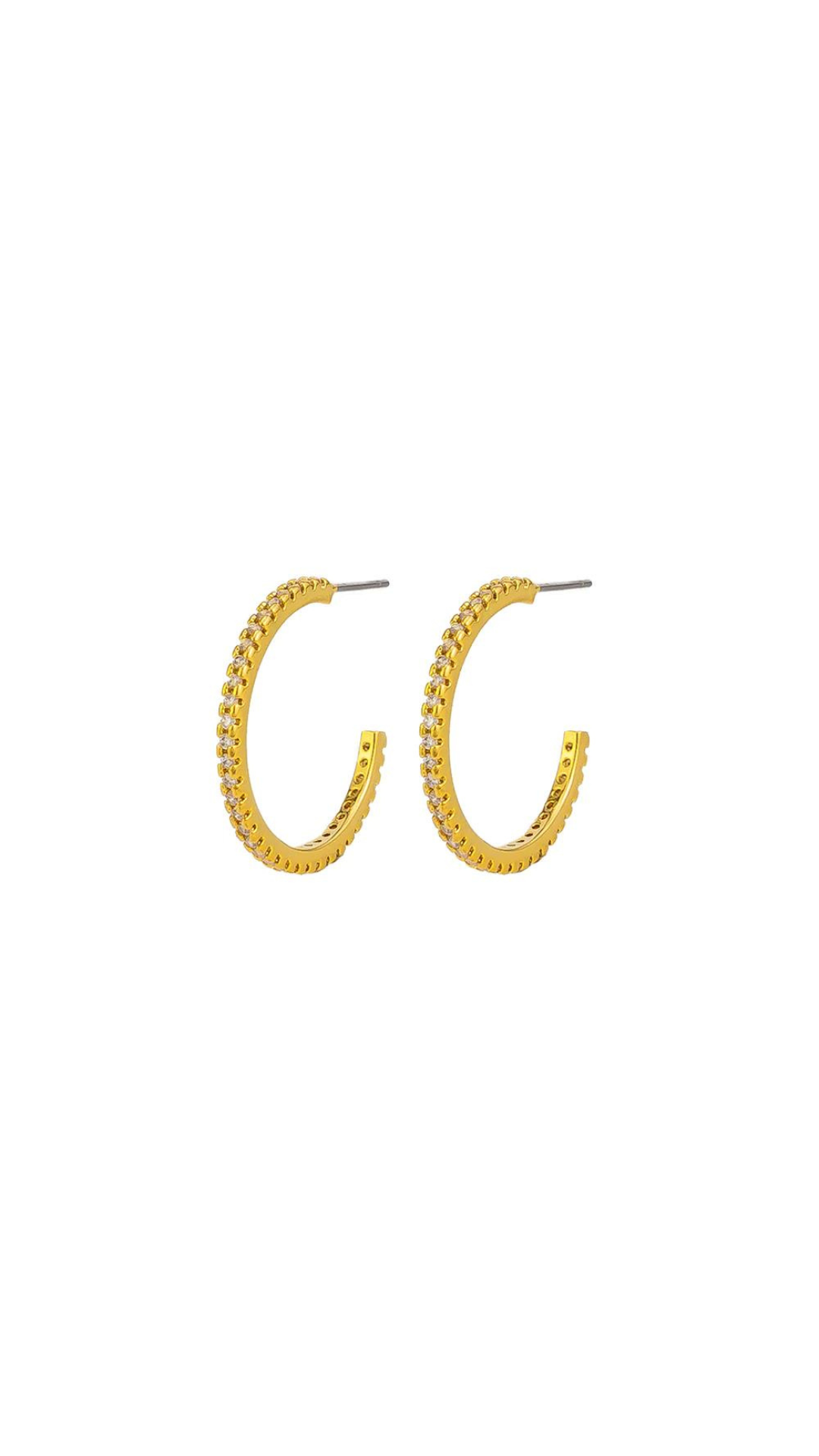 Elena Hoops