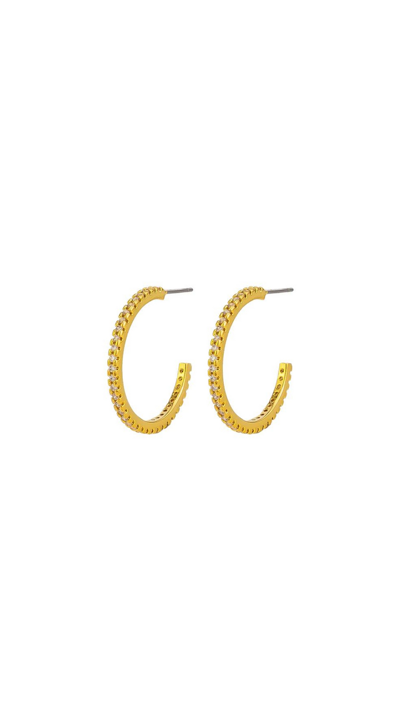Elena Hoops