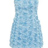 Bloom Mini Dress (Blue)