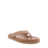 Aila Thong Toffee