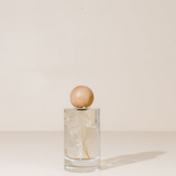 Interior Fragrance Spray sunny