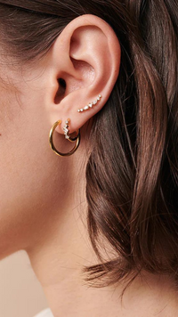 Roxana Sterling Silver Hoops (Gold)