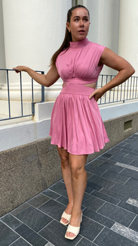 Sadie Mini Dress (Pink)