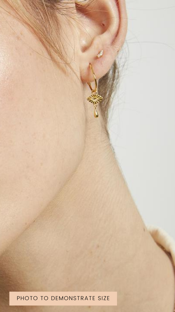Frances Sterling Silver Earring (Silver)
