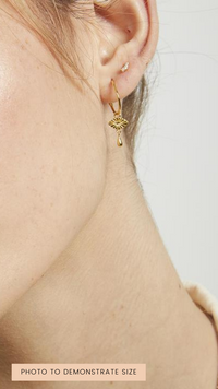 Frances Sterling Silver Earring (Silver)