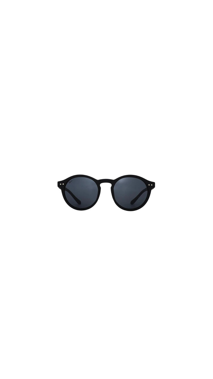 Hudson Sunglasses (Matt Black)