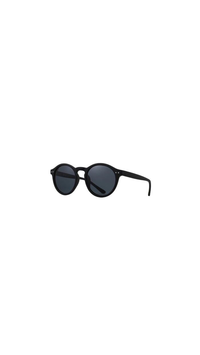 Hudson Sunglasses (Matt Black)